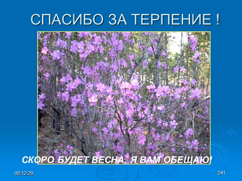 08:12:02 241 СПАСИБО ЗА ТЕРПЕНИЕ ! СКОРО БУДЕТ ВЕСНА, Я ВАМ ОБЕЩАЮ!